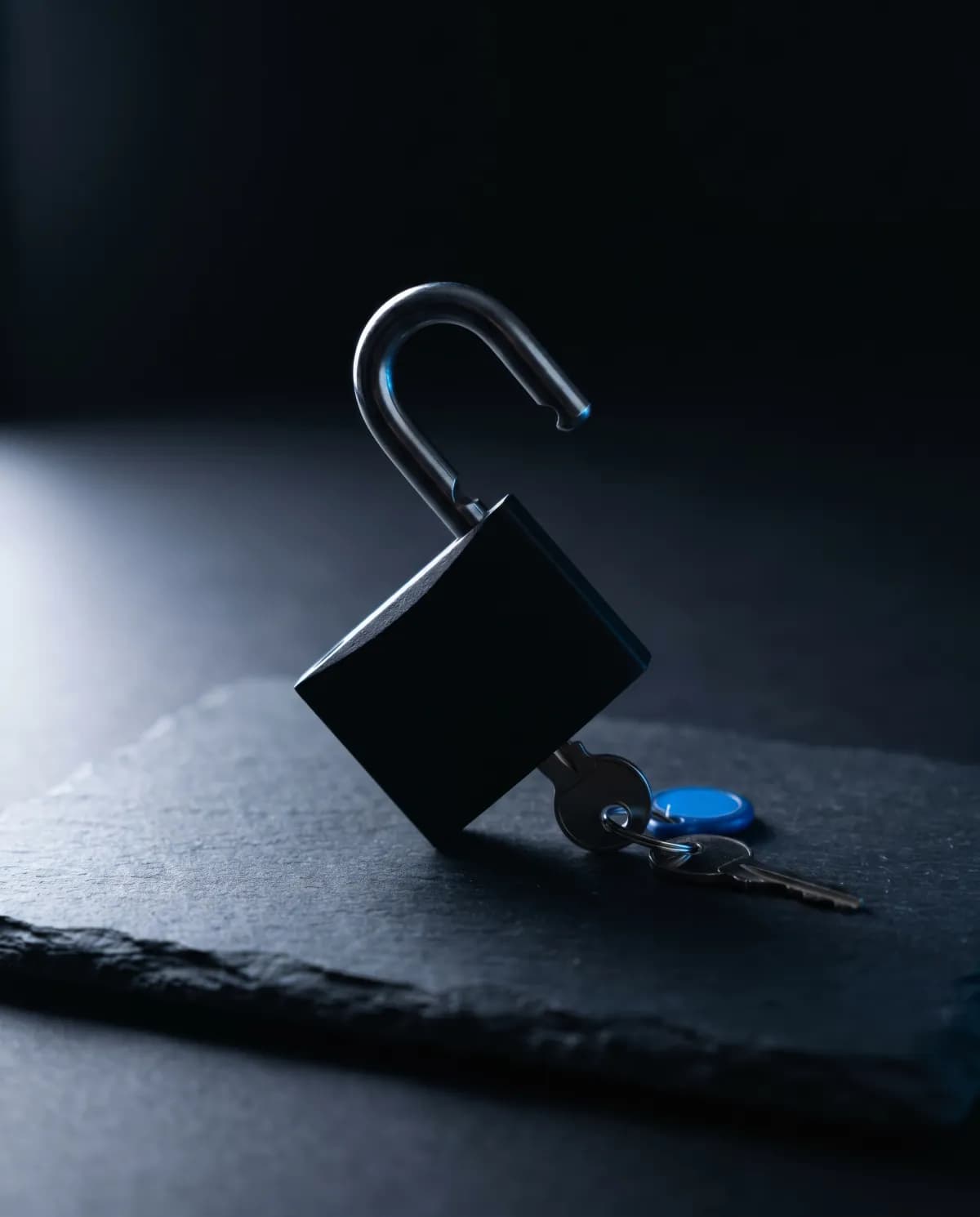 0 jour d'engagement — Web : résiliable par mail à la fin du mois, sans pénalité. Production : un forfait, un livrable, une facture.
